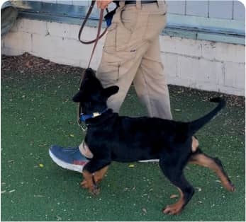 img - Private Lessons