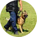img-k9-police-officer-with-his-dog