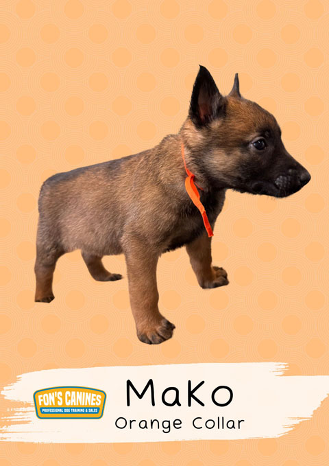 Mako