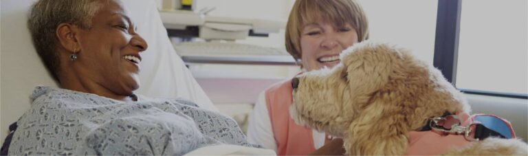 hero - Therapy Dog Training