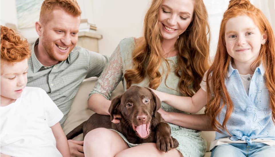 hero - Why Fon's Dog Training for puppy family dog_