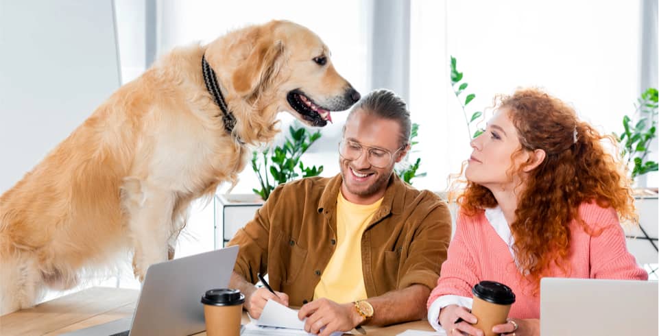 img - businessman-doing-paperwork-woman-looking-cute-golden-retriever-office