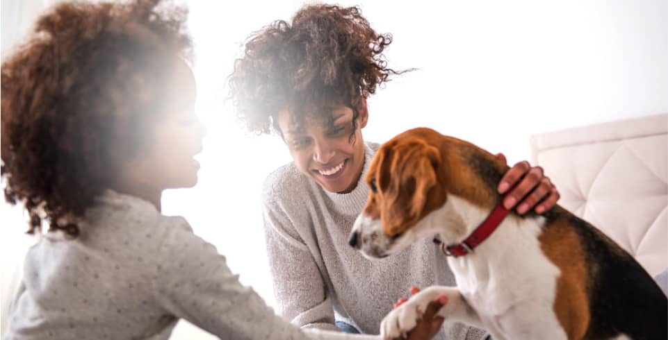 img - oung-african-american-mother-spending-time-daughter-playing-dog