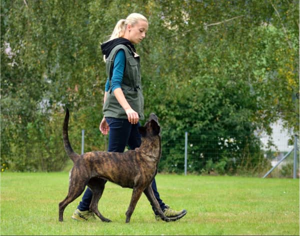 img - woman-exercising-with-dog