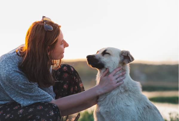 img - woman-pets-dog-nature-sunset-human-pet-relationship-communication-interaction