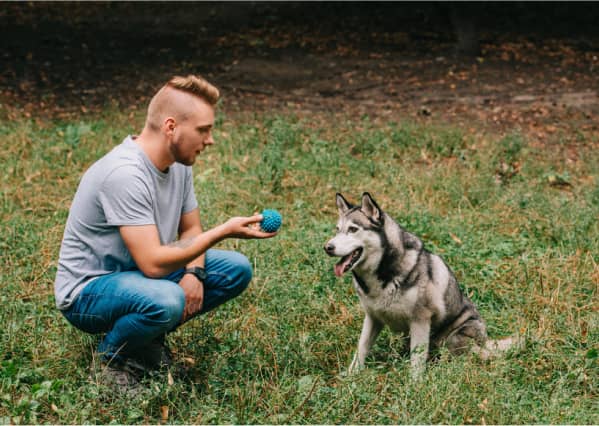 img - young-man-playing-ball-dog-park