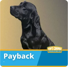 A black Labrador retriever sits alertly against a neutral background. The image has a label reading "Payback" and a small Fox's Canines logo.