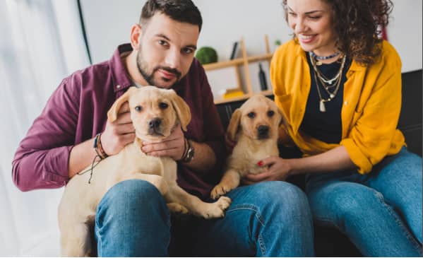 A man and woman sitting on a couch, each holding a yellow Labrador puppy, looking at the camera.
