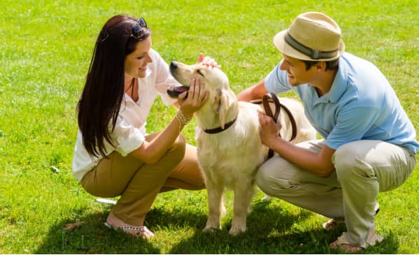Two people kneel on grass, petting and smiling at a golden retriever dog wearing a collar and leash.