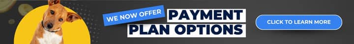 Banner with a dog on the left, text reads "We now offer payment plan options," and a blue button on the right says "Click to learn more.