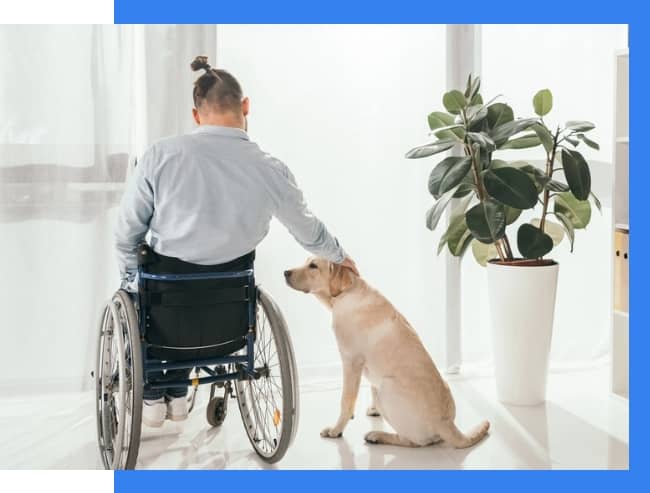 A person in a wheelchair pets a yellow dog sitting beside them in a bright room with a large potted plant.