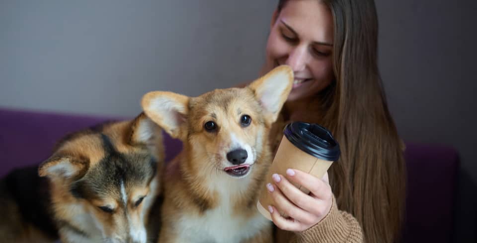 A woman holding a takeaway coffee cup sits with two dogs, one of which is looking directly at the camera.