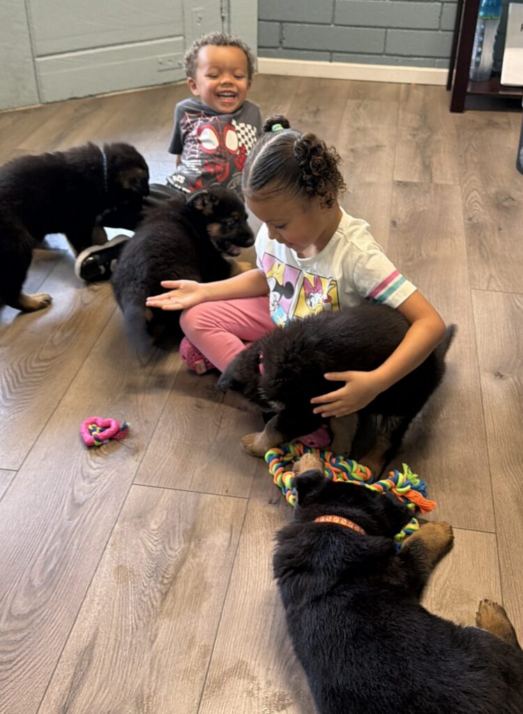 Two young children sit on a wooden floor indoors, surrounded by several black and brown puppies and colorful dog toys.