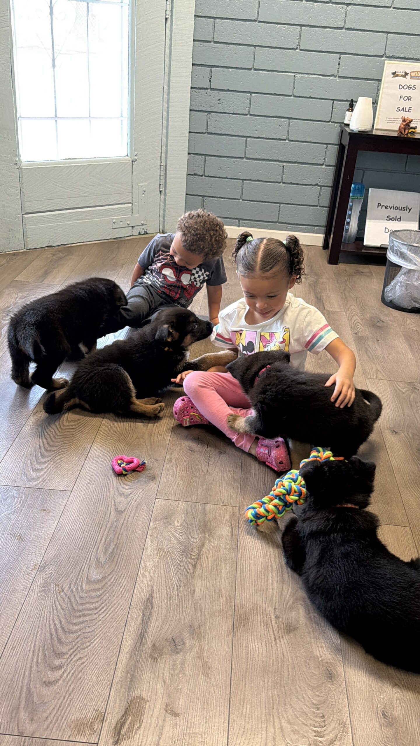 Two young children sit on a wooden floor, surrounded by several black and brown puppies playing and resting near them. Toys are scattered on the floor.