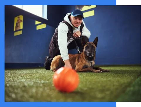Person kneeling beside a brown dog on artificial grass indoors, with an orange ball in the foreground and blue walls in the background.