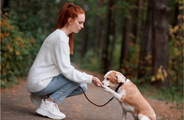 A woman crouches on a forest path, holding a leash and shaking hands with a small dog.