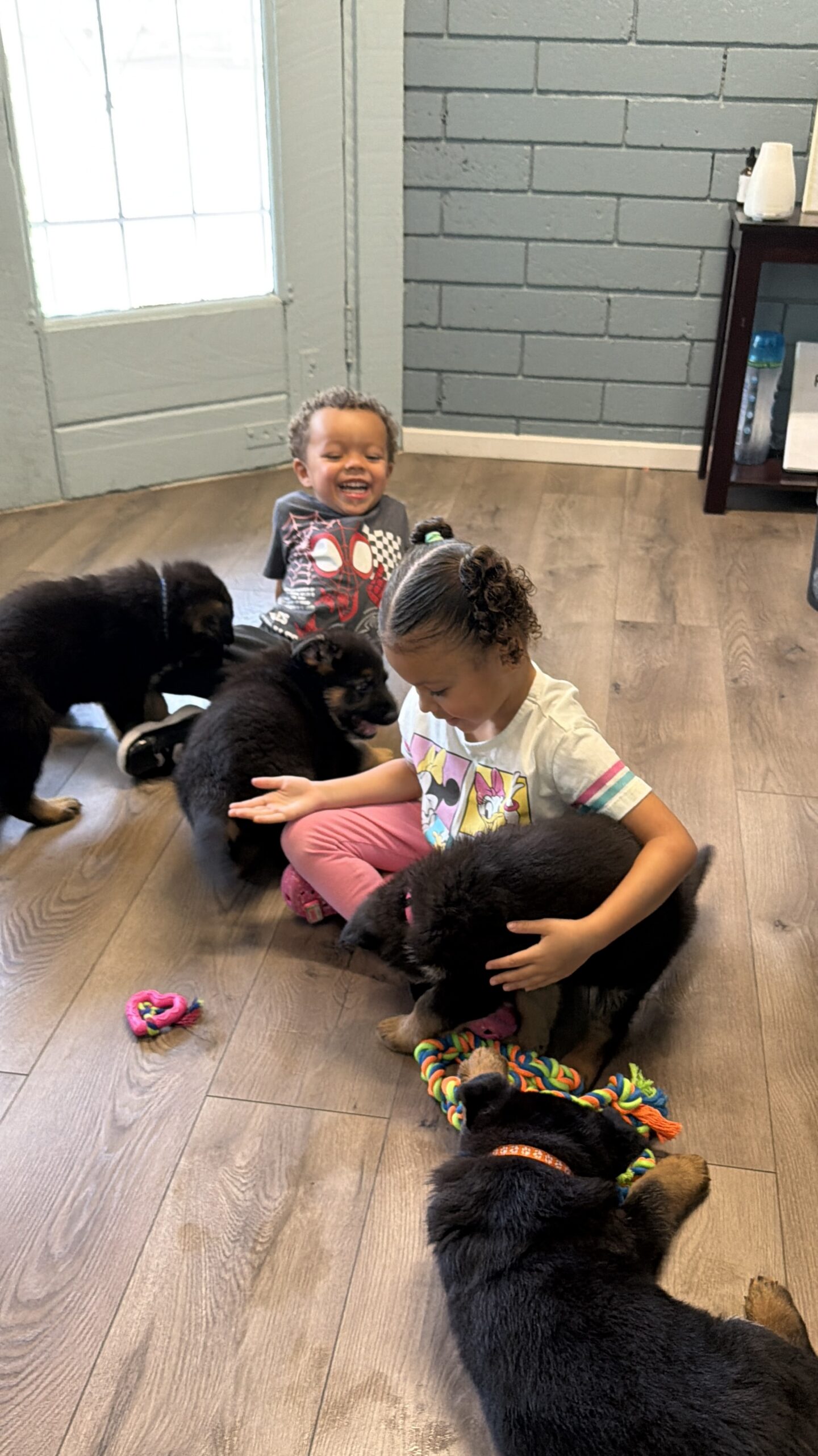 Two young children sit on a wooden floor indoors, surrounded by several playful puppies and colorful dog toys.