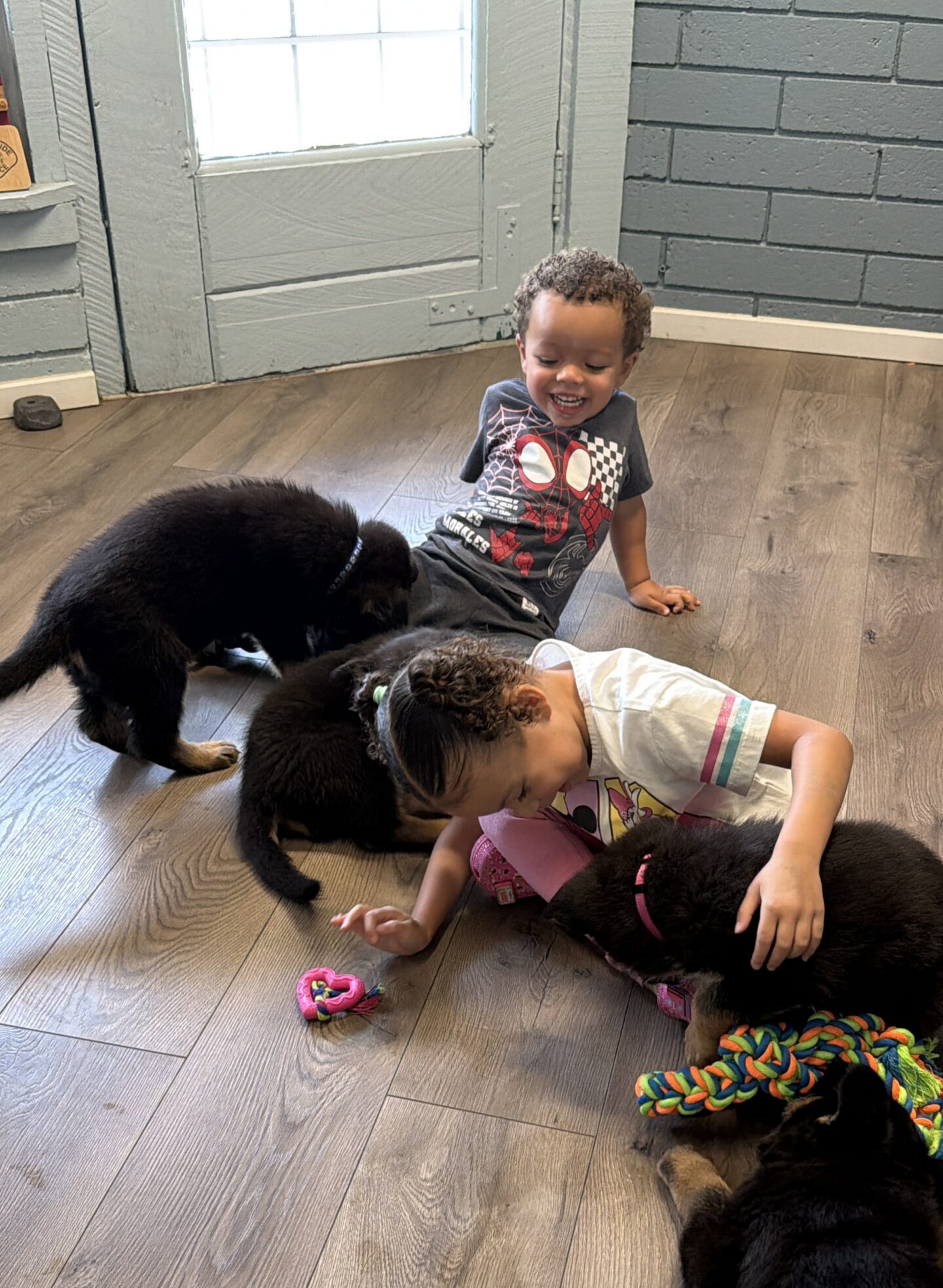 Two young children sit and lie on a wooden floor, playing with four black and brown puppies and some colorful toys in a sunlit room.